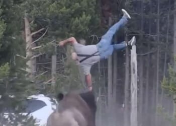 Image for article: National Park Service Reminds Americans Not To Approach Bison, But If You Do, Make Sure Someone Captures A Hilarious Video Of It