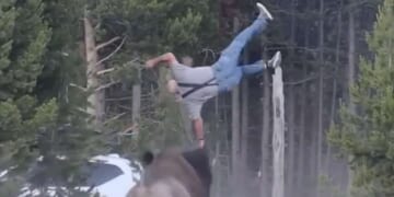 Image for article: National Park Service Reminds Americans Not To Approach Bison, But If You Do, Make Sure Someone Captures A Hilarious Video Of It