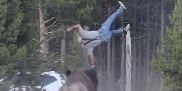 Image for article: National Park Service Reminds Americans Not To Approach Bison, But If You Do, Make Sure Someone Captures A Hilarious Video Of It