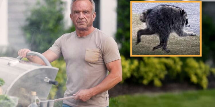 Image for article: Oh No! RFK Jr. Eats Jimothy