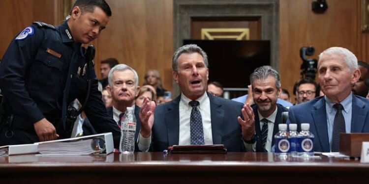 Rand Paul Boots Fauci Attorney From Senate Hearing