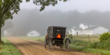 Second Circuit Upholds New York Vaccine Mandate Against the Amish