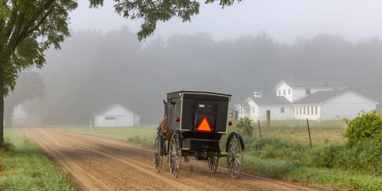 Second Circuit Upholds New York Vaccine Mandate Against the Amish