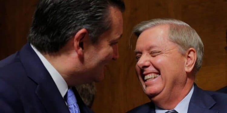Ted Cruz Says ‘Nobody’ Can Fill Lindsey Graham’s Void In The Senate