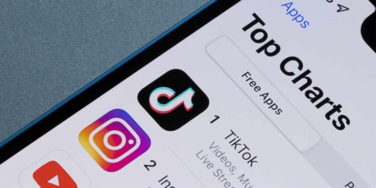 Texas Can Enforce App Store Accountability Act — For Now