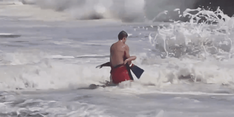 Trump Invites Teen Lifeguard After Dramatic Rescue