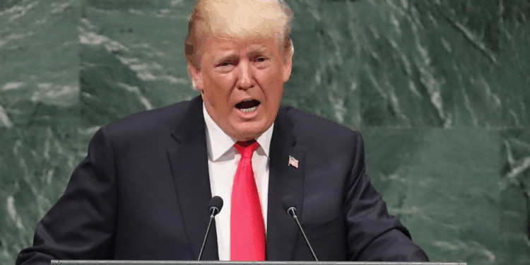 Trump Must Stop Abortion Pills Like He Wants to Stop Election Fraud