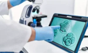 U.S. bishops urge Labor Department to reject expanding IVF insurance coverage