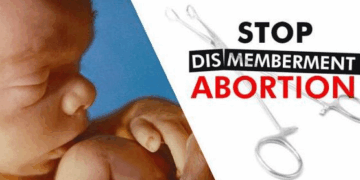 We Must Protect Babies From Being Dismembered in Abortions