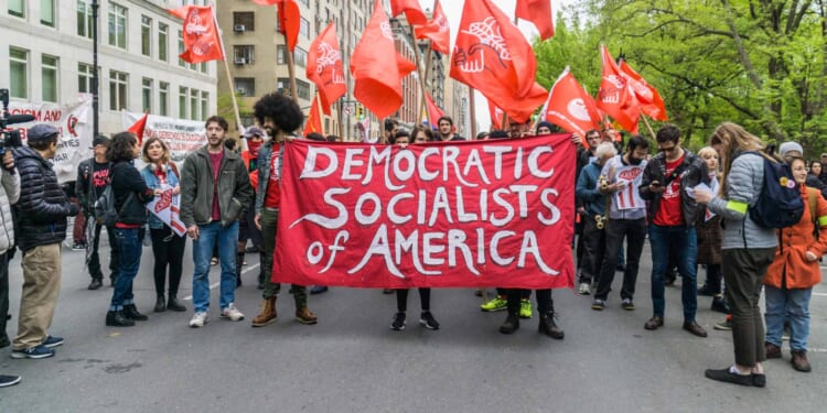 Why Parents Should Pay Attention to the DSA's Public School Strategy