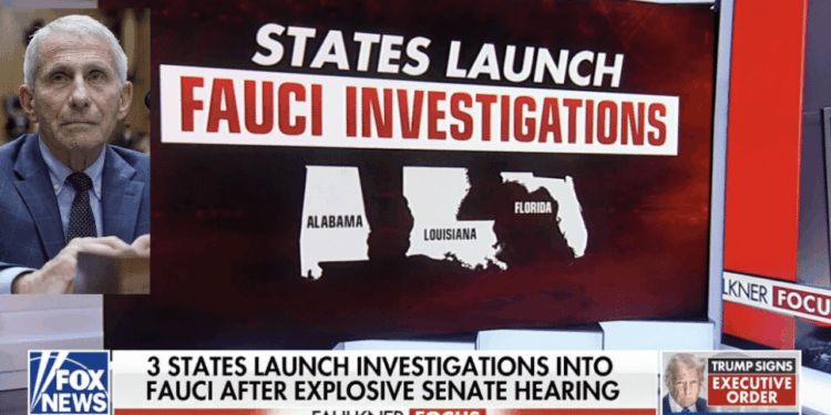 Louisiana Launches Investigation Into Anthony Fauci