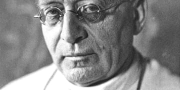 Vouchers and Vaccines - The Catholic Thing