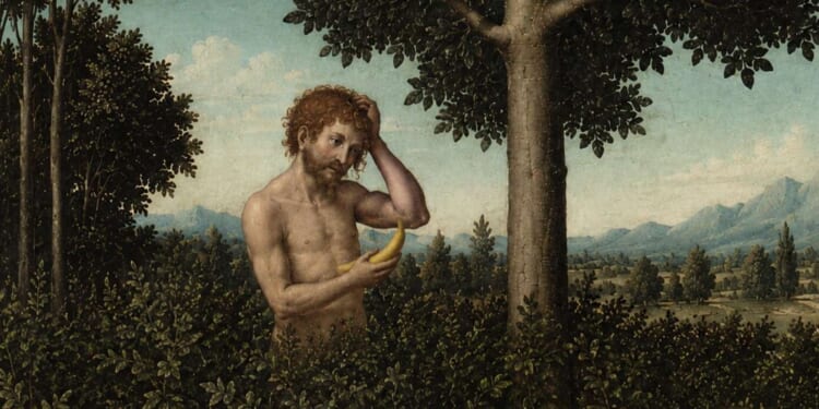 Image for article: After Observing Adam For Two Minutes, God Decides Man's Going To Need A Helper