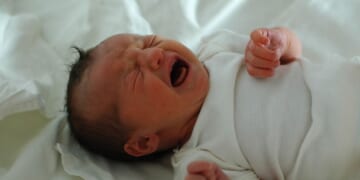 California Wants to Make Pro-Life Group Pay $20 Million for Saving Babies From Abortions