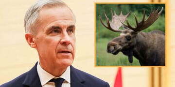 Image for article: Canada Vows To Retaliate Against Trump With Crippling Moose Tariff
