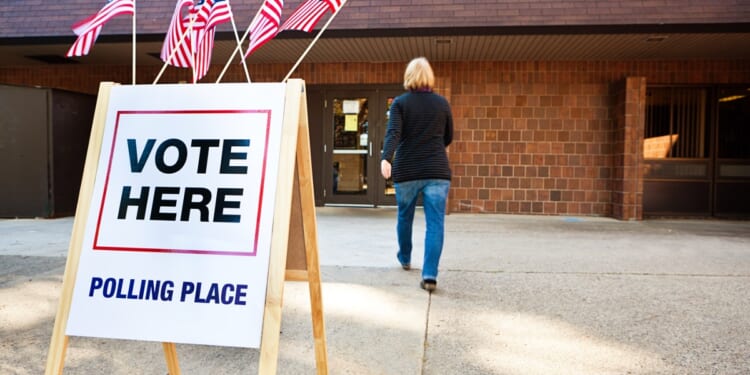 Computerized Elections: The Votes Are Still Out