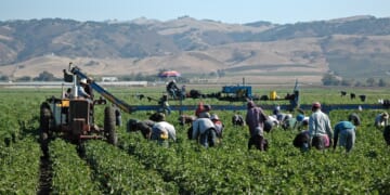 Congressional Republicans Push Amnesty for Illegal Farmworkers