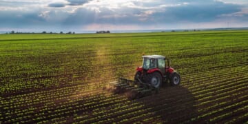 Foreign Adversaries’ Creeping Acquisition of U.S. Farmland Places Trump at Odds With His Own Party