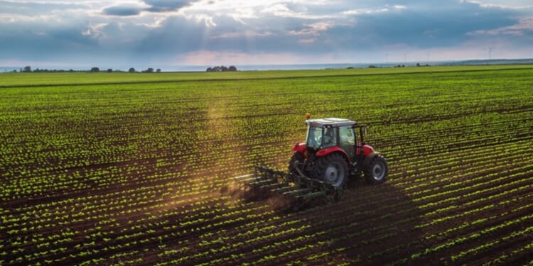 Foreign Adversaries’ Creeping Acquisition of U.S. Farmland Places Trump at Odds With His Own Party