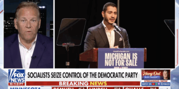 'Michiganders Want Common Sense — They Don't Want Crazy' [WATCH]