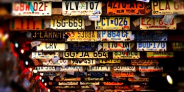 Narcissism: Vanity License Plates for Politicians