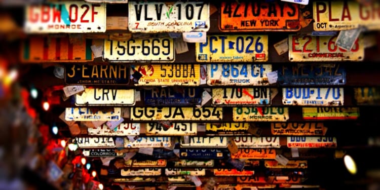 Narcissism: Vanity License Plates for Politicians