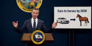 Image for article: Newsom Signs Law Requiring All Cars To Be Horses By 2030