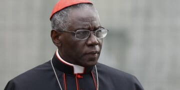 Robert Cardinal Sarah: Killing Babies in Abortions is Not a "Fundamental Right"
