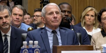 Image for article: Senate Joins Rest Of Nation In Holding Fauci In Contempt