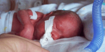 Teens Kill 31-Week-Old Unborn Baby, Deliver Child and Left the Baby in the Toilet