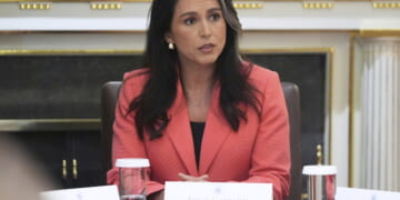 WSJ: Trump Ignored Gabbard’s Advice That Iranian Regime Would Not Collapse After Major Attack