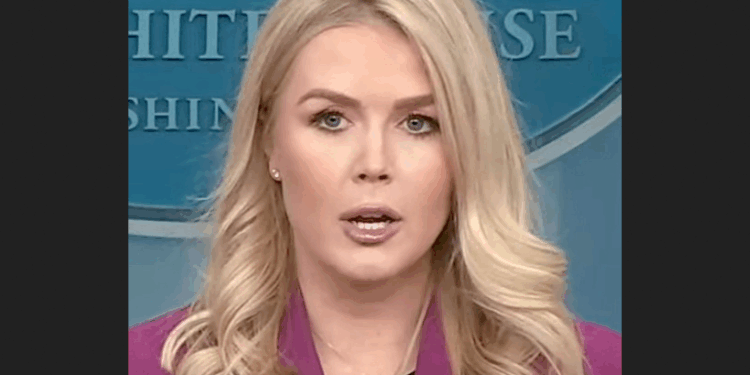 White House Press Secretary Karoline Leavitt Will Step Down to Spend Time With Family