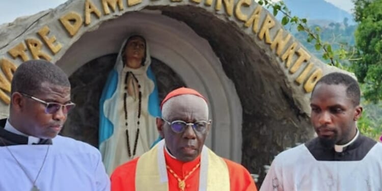 Cardinal Sarah and the Crisis in Bioethics