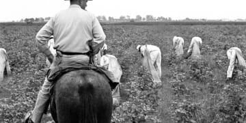 Paco Enterprises: Happy Labor Day!