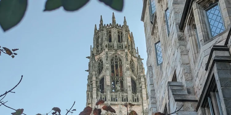 The allure of the Catholic intellectual tradition