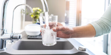 5th Circuit: No Constitutional Right to Clean Water or Truthful Officials