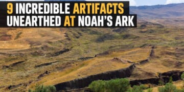 Article Header Image