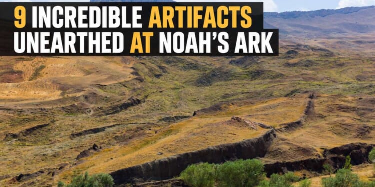 Article Header Image