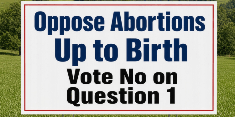Catholic Church Fights Virginia Amendment for Abortions Up to Birth