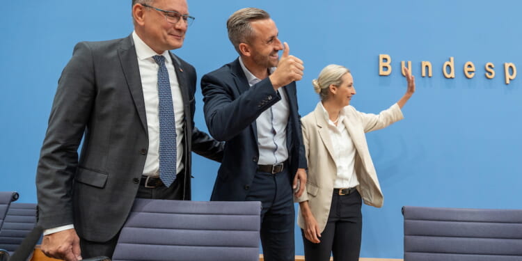 How Far Can the AfD Go Before Berlin Tries to Ban It?