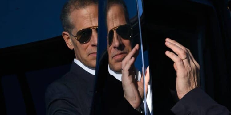 Hunter Biden Meme Coin Leaves 80% of Buyers With Losses