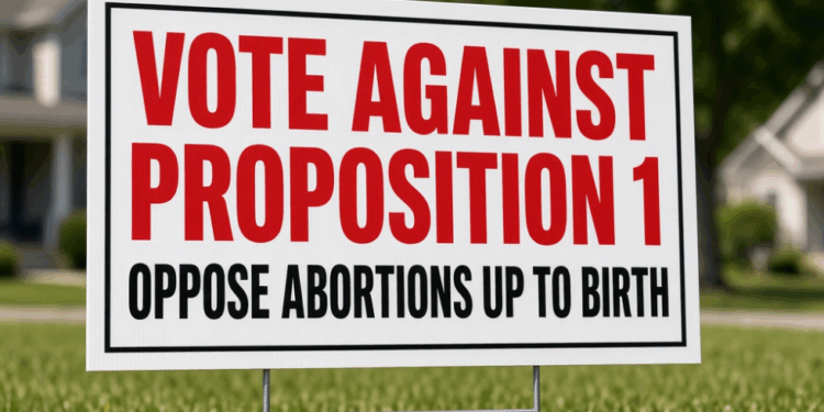 Idaho's Proposition 1 Would Legalize Abortions Up to Birth