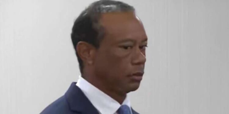 Image for article: Tiger Woods’ License Suspended After Court Determines He Is Half-Asian