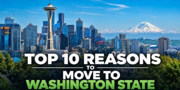 Article Header Image