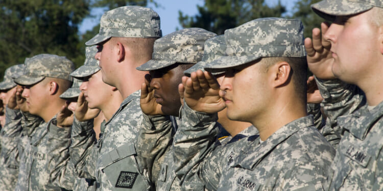 Veterans See 26% Rise in Brain Injuries, But Research Funding Has Been Cut 77%