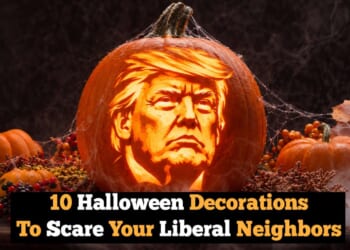 Article Header Image